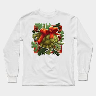 New Year's turtle Long Sleeve T-Shirt